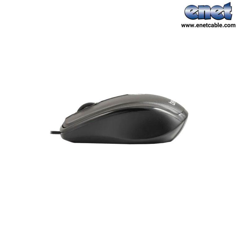 mouse–2