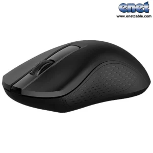 B20-4