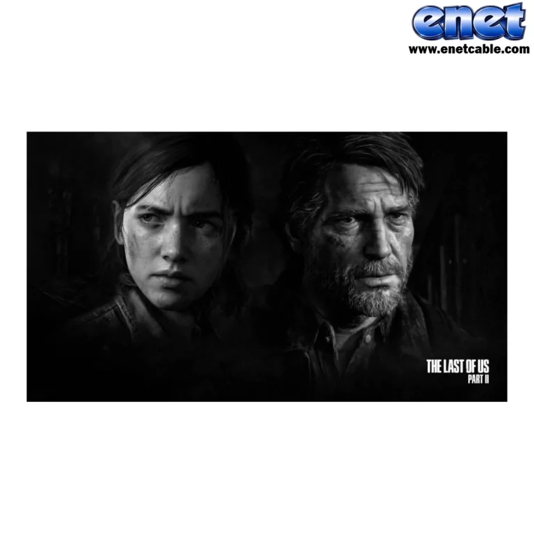 eneJt copy