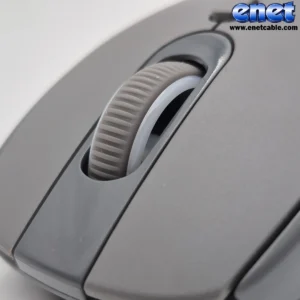 enet-Reنcovered